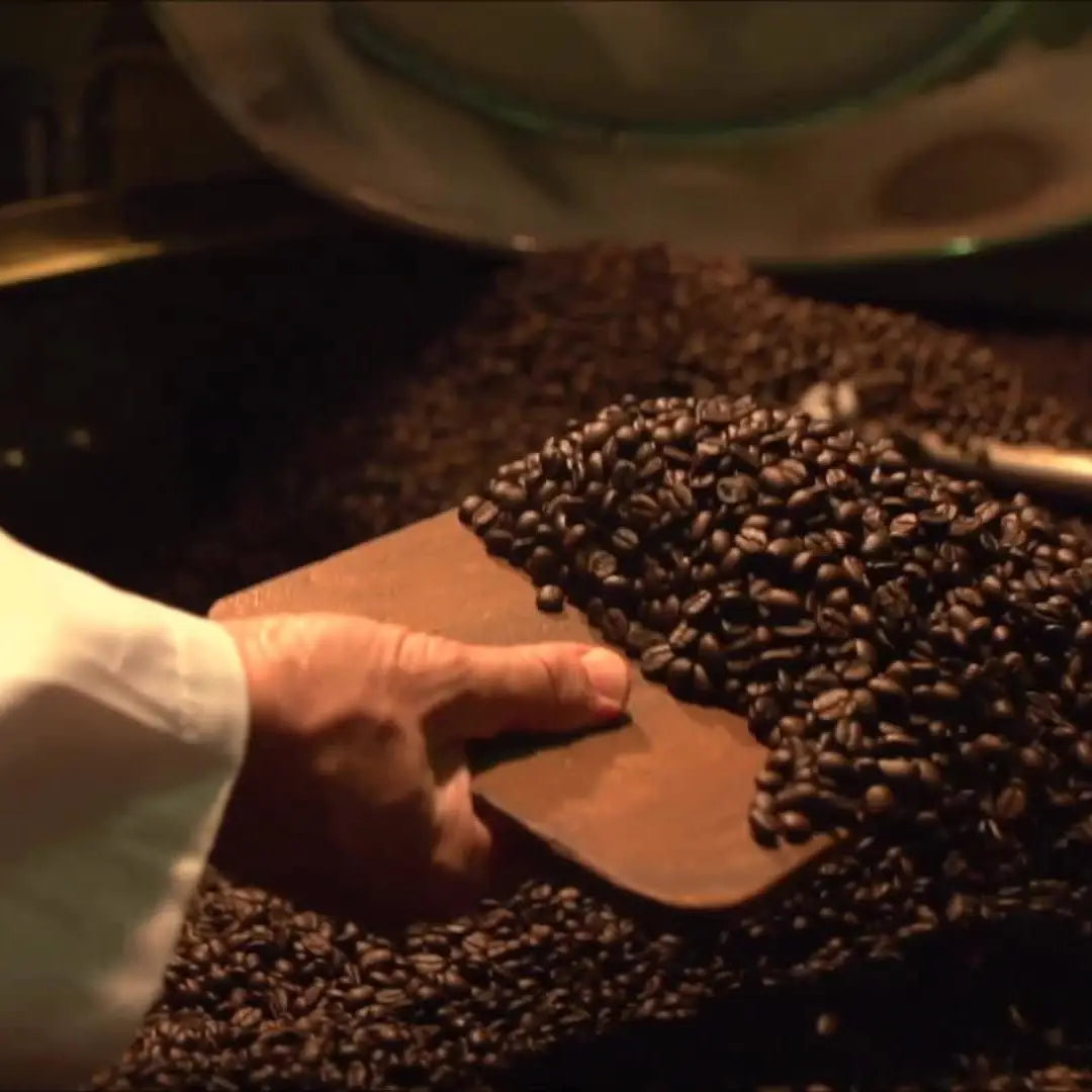 Morettino Espresso Capsules Universal - 30 pcs