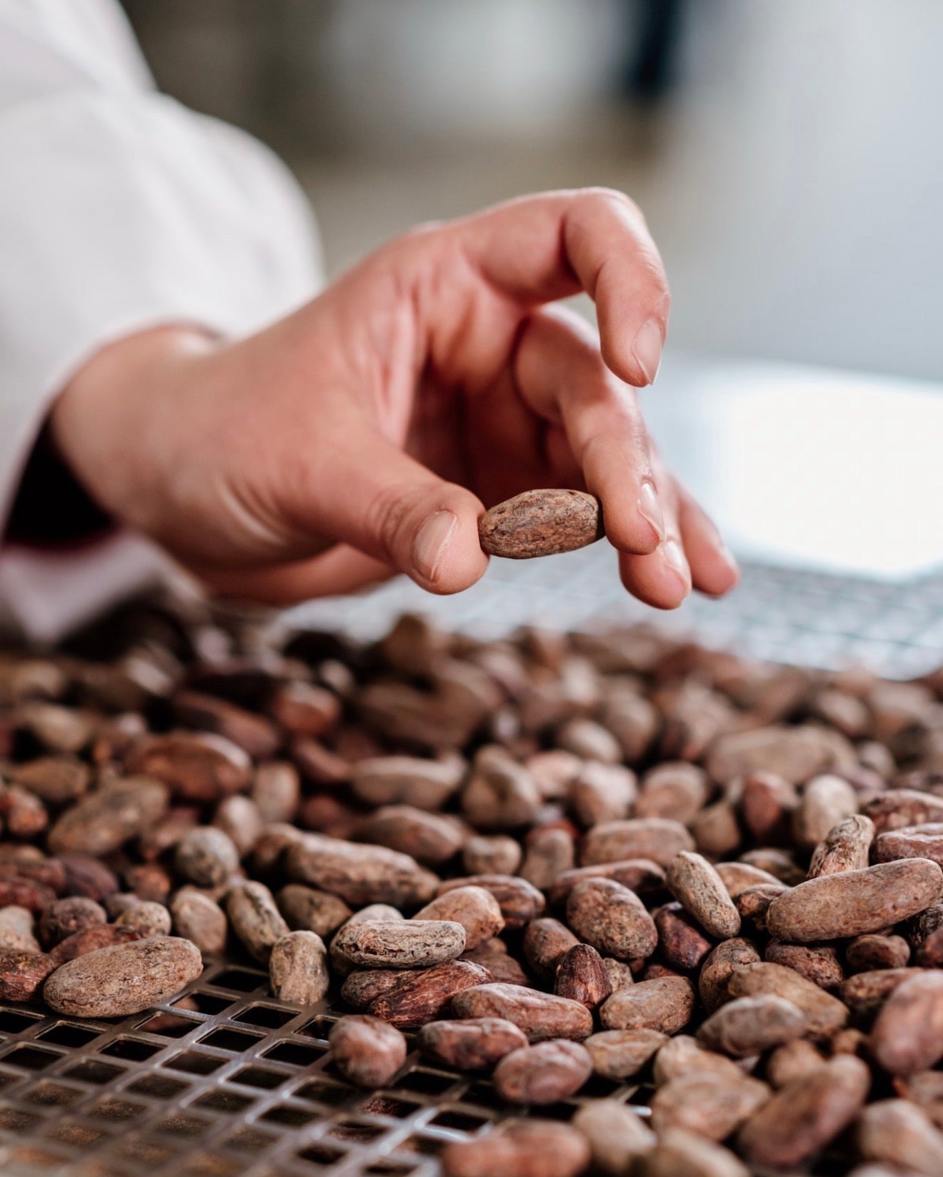 Cioccolato di Modica with Chili Pepper